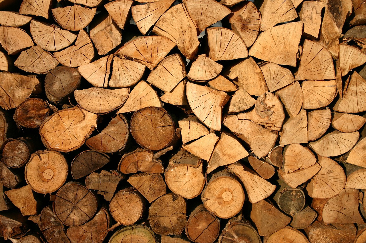 Holzgreifer fÃ¼r die Forstwirtschaft