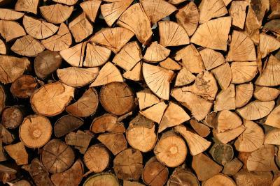 Effizienz im Wald - RevolutionÃ¤re Maschinen fÃ¼r die modernÄ Forstwirtschaft